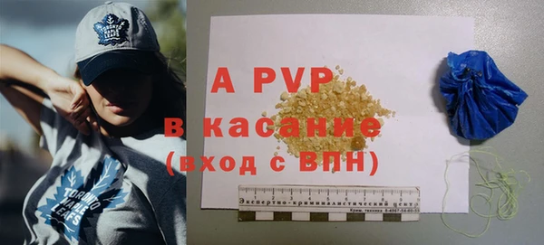 ГАЛЛЮЦИНОГЕННЫЕ ГРИБЫ Аркадак