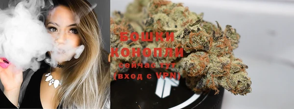 ГАЛЛЮЦИНОГЕННЫЕ ГРИБЫ Аркадак
