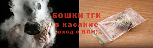 ешки Арсеньев