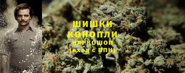 ешки Арсеньев