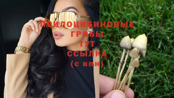MESCALINE Баксан
