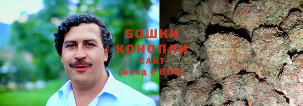 ешки Арсеньев