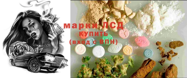 ГАЛЛЮЦИНОГЕННЫЕ ГРИБЫ Аркадак
