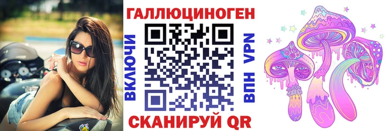 блэк спрут вход  Саратов  Псилоцибиновые грибы GOLDEN TEACHER 